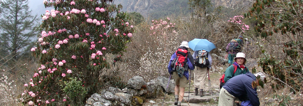 Nepal Trekking and Tours